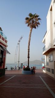 GC-Paseo Las Canteras (Las Palmas) 2026-120.jpg